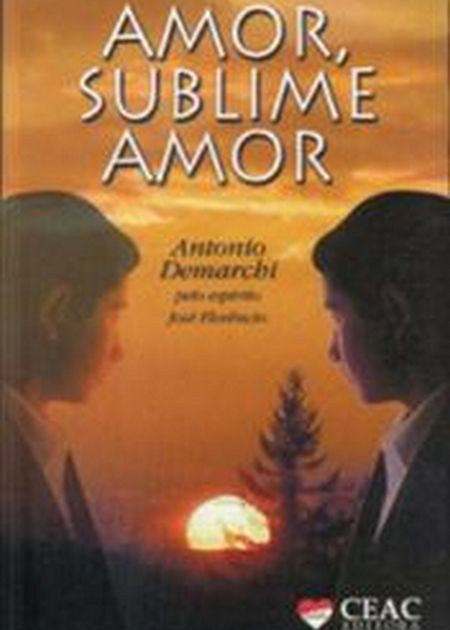 AMOR SUBLIME AMOR