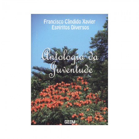 ANTOLOGIA DA JUVENTUDE (BOLSO)