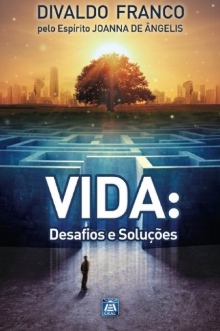 VIDA DESAFIOS E SOLUCOES ED. 13 - VOL.8