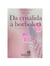 DA CRISALIDA A BORBOLETA 