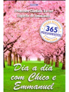 DIA A DIA COM CHICO