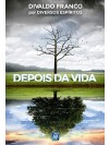 depois da vida