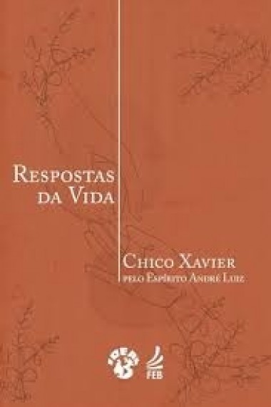 RESPOSTAS DA VIDA(BOLSO) 