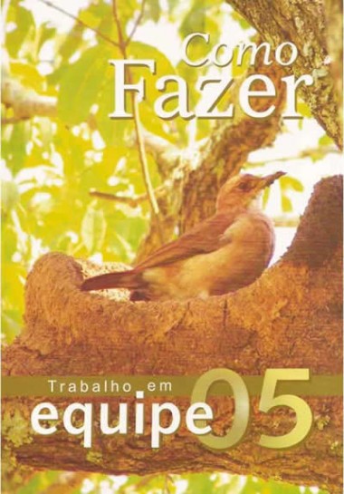COMO FAZER 05 - TRABALHO EM EQUIPE