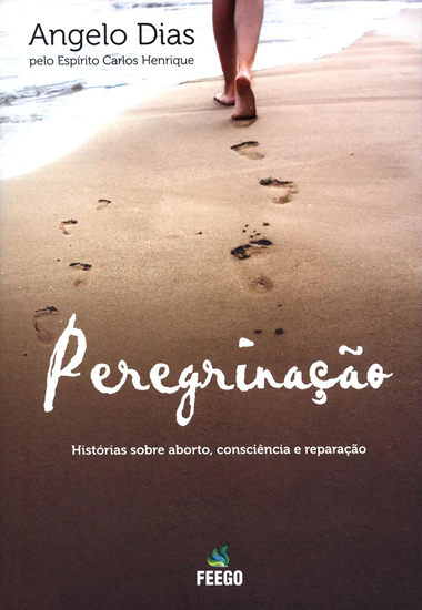 PEREGRINACAO - HISTORIA SOBRE ABORTO CONSCIENCIA E REPARACAO