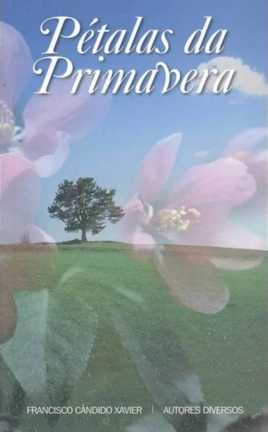 PETALAS DA PRIMAVERA