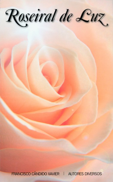 ROSEIRAL DE LUZ
