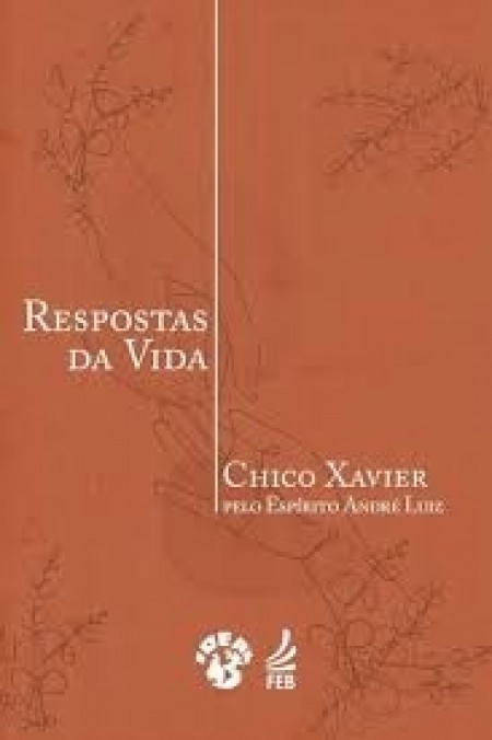 RESPOSTAS DA VIDA(BOLSO) 
