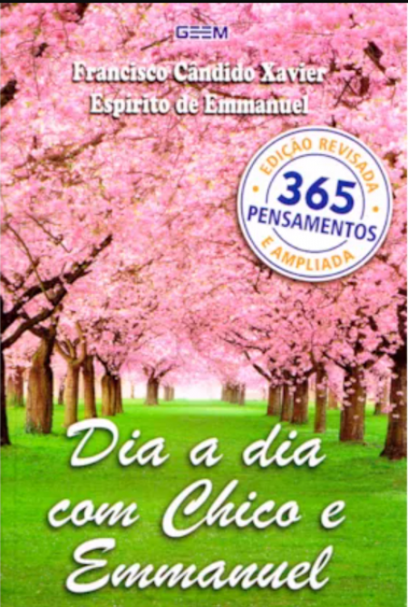 DIA A DIA COM CHICO