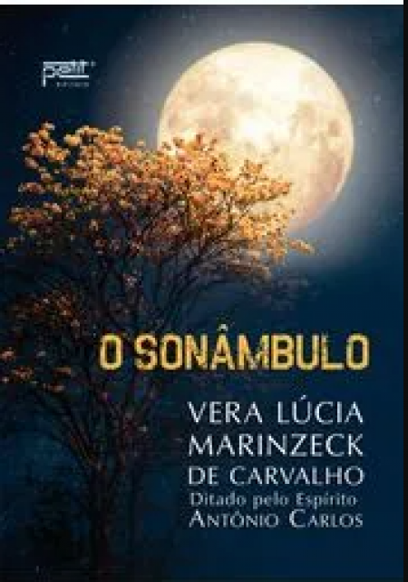 o sonâmbulo
